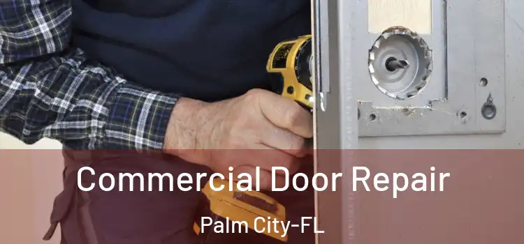  Commercial Door Repair Palm City-FL