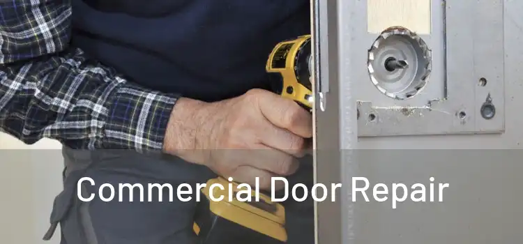 Commercial Door Repair