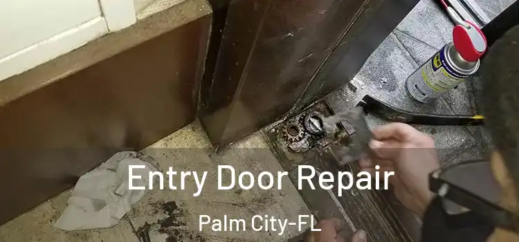 Entry Door Repair Palm City-FL