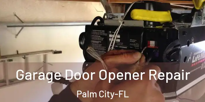  Garage Door Opener Repair Palm City-FL
