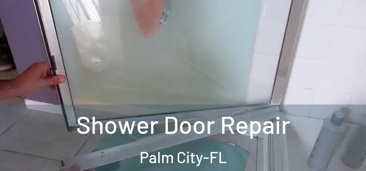 Shower Door Repair Palm City-FL